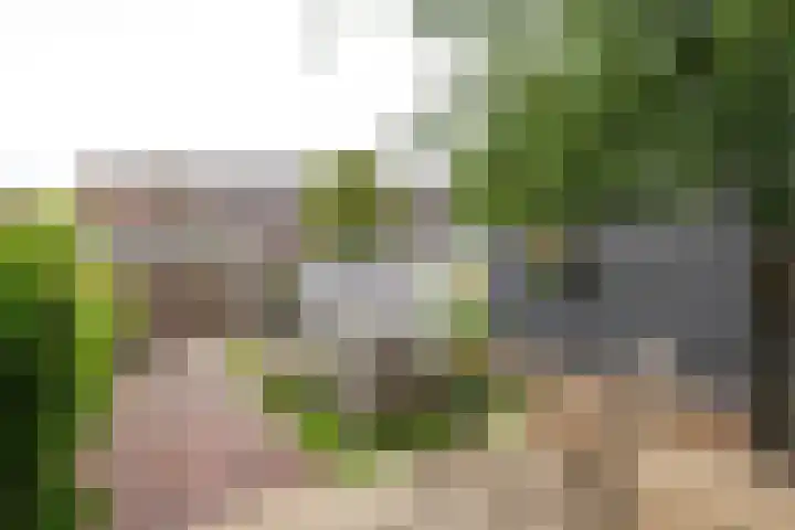 Bonaventurastraat 23 B Rotterdam thumbnail 27