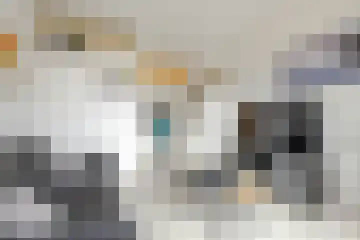 Bonaventurastraat 23 B Rotterdam thumbnail 8
