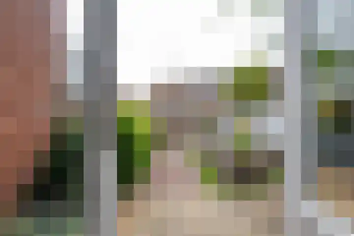 Bonaventurastraat 23 B Rotterdam thumbnail 9