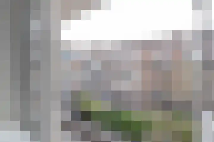 Bonaventurastraat 24 D Rotterdam thumbnail 14