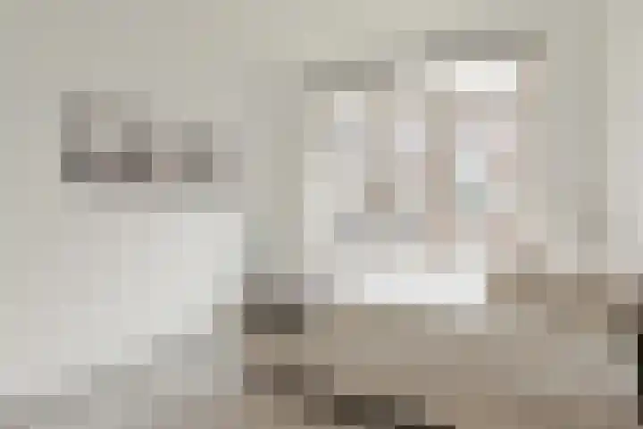 Bonaventurastraat 24 D Rotterdam thumbnail 21
