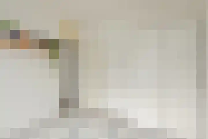 Bonaventurastraat 24 D Rotterdam thumbnail 23