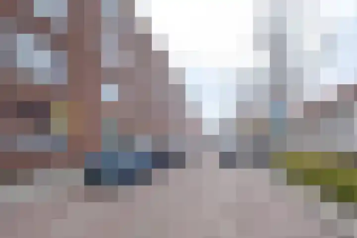 Bonaventurastraat 24 D Rotterdam thumbnail 27