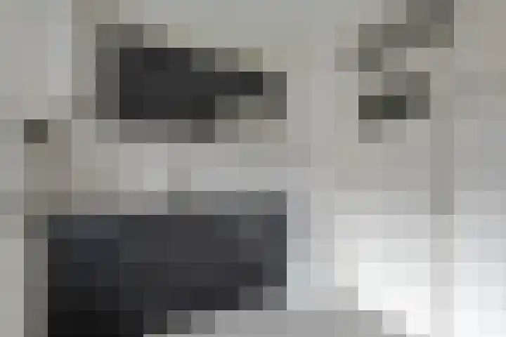 Bonaventurastraat 24 D Rotterdam thumbnail 4