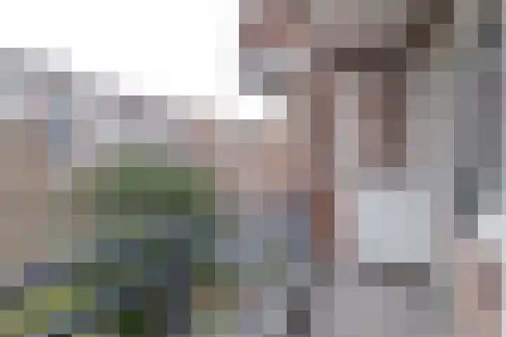 Bonaventurastraat 24 D Rotterdam thumbnail 5