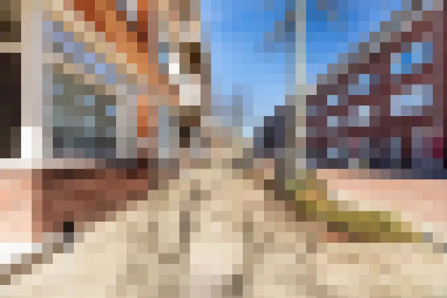 Bonaventurastraat 27 Rotterdam thumbnail 43