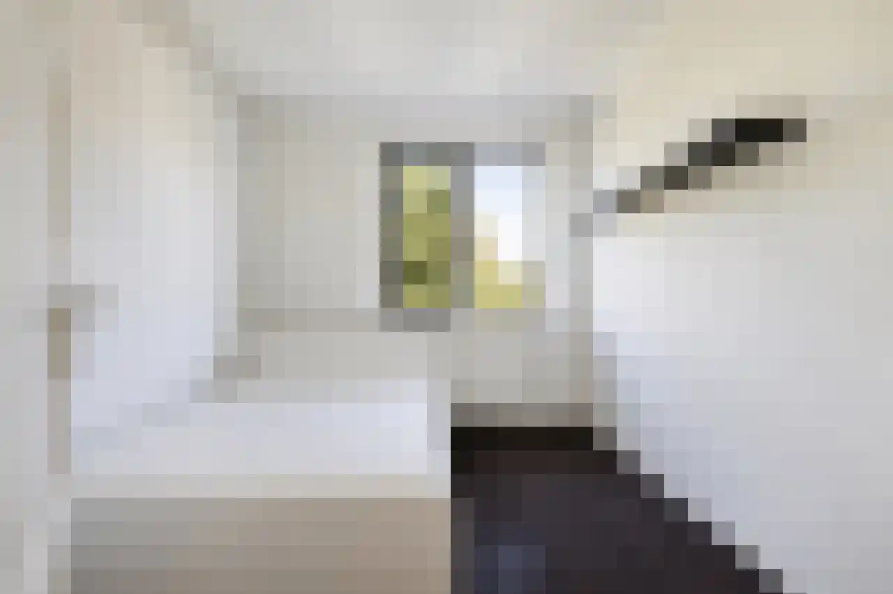 Bonaventurastraat 28 C Rotterdam thumbnail 15