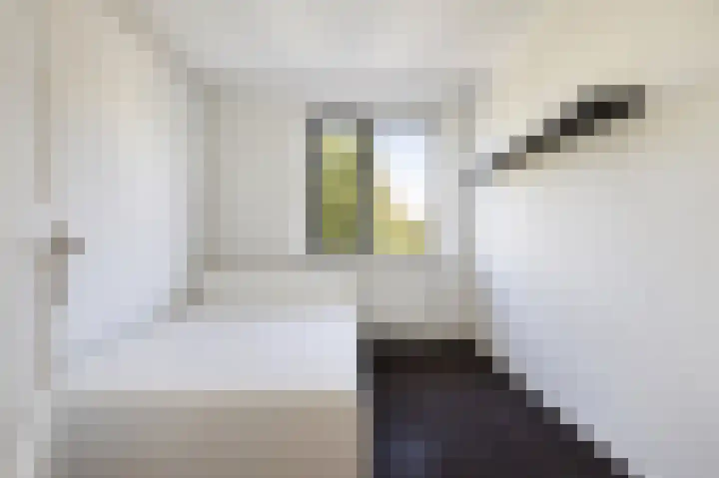 Bonaventurastraat 28 C Rotterdam thumbnail 15