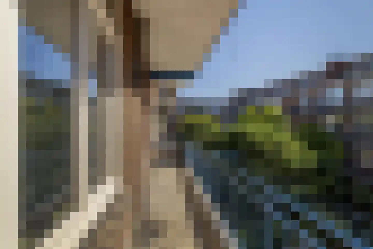 Bonaventurastraat 28 C Rotterdam thumbnail 18