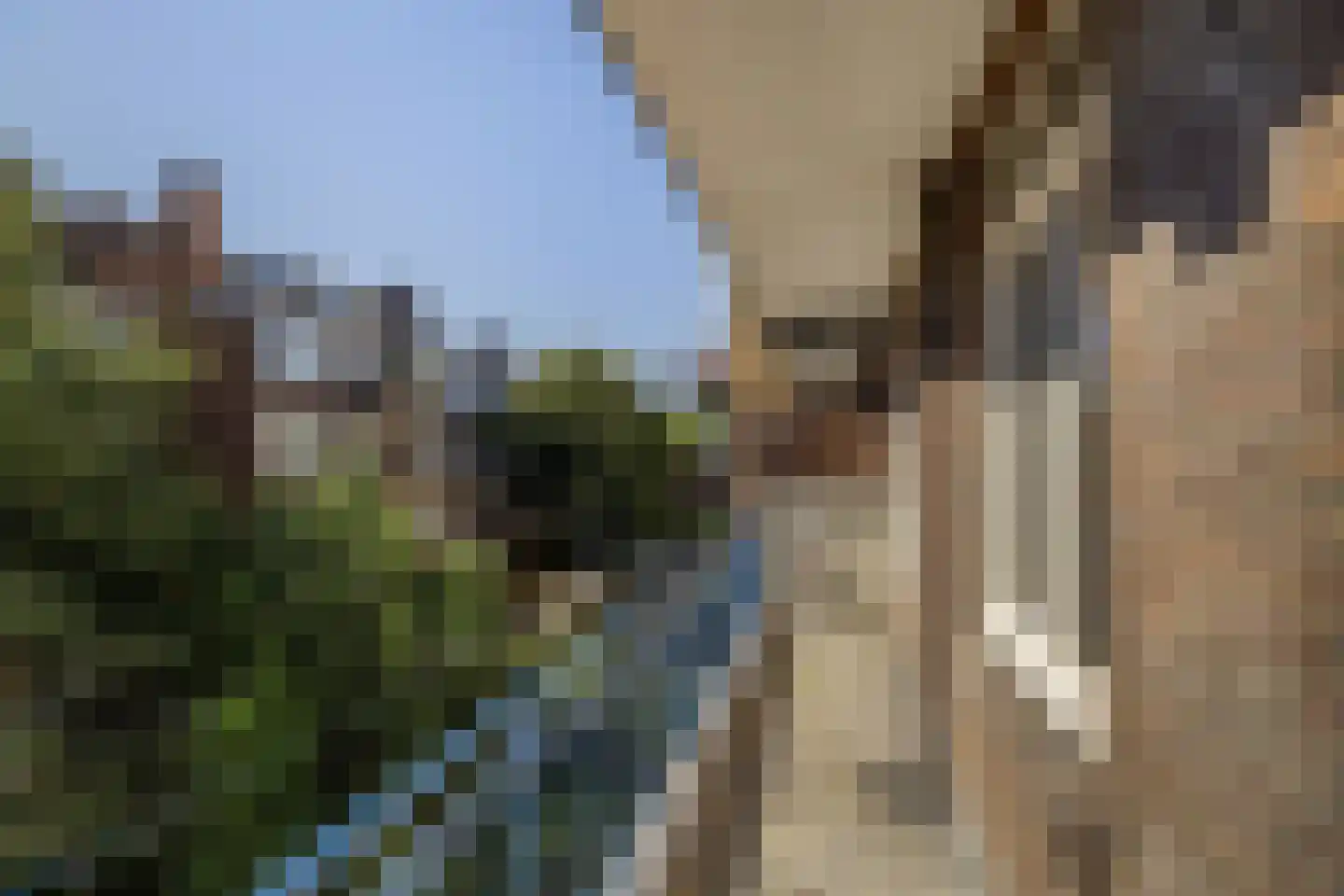 Bonaventurastraat 28 C Rotterdam thumbnail 19