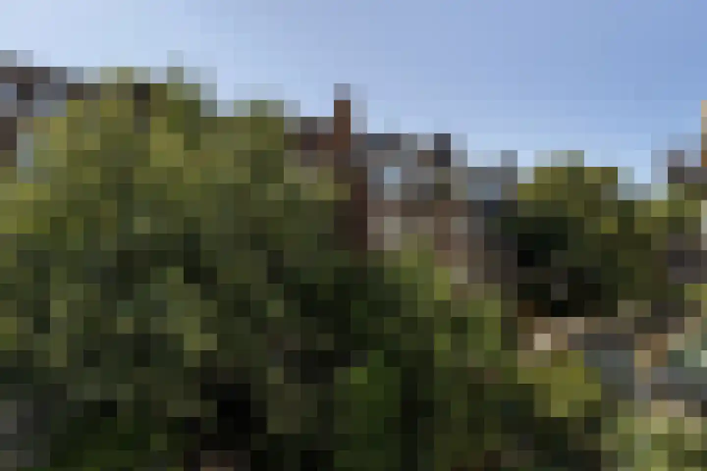 Bonaventurastraat 28 C Rotterdam thumbnail 20