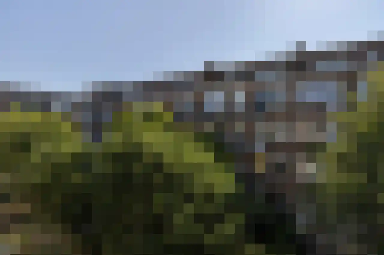 Bonaventurastraat 28 C Rotterdam thumbnail 21