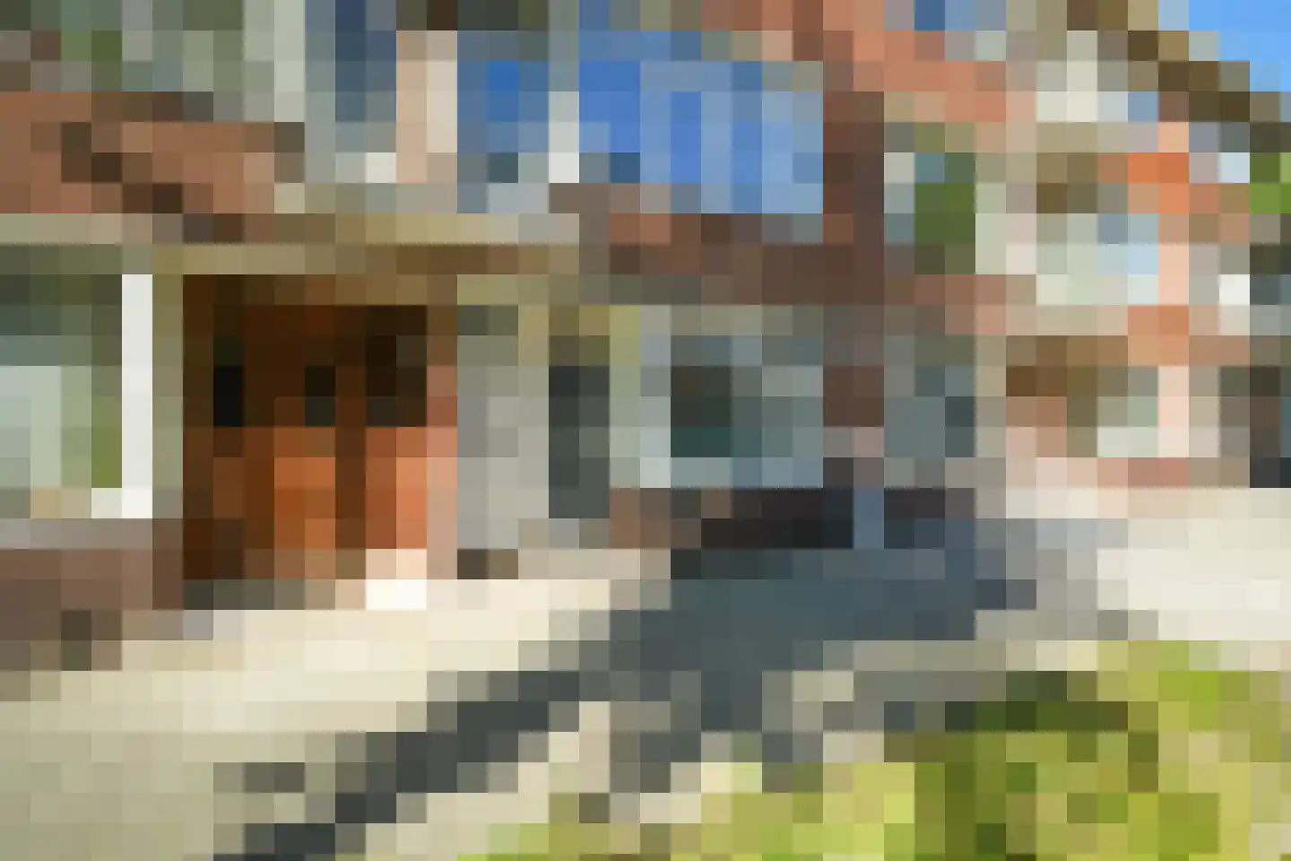 Bonaventurastraat 29 A Rotterdam thumbnail 21