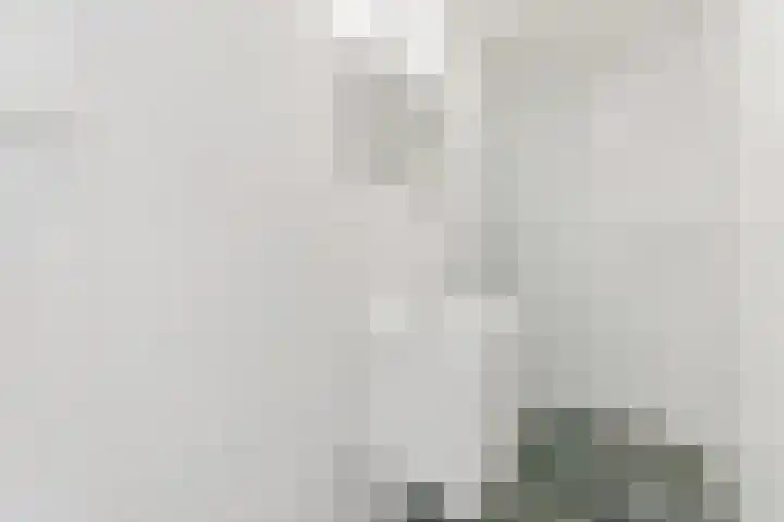 Bonaventurastraat 55 C Rotterdam thumbnail 4