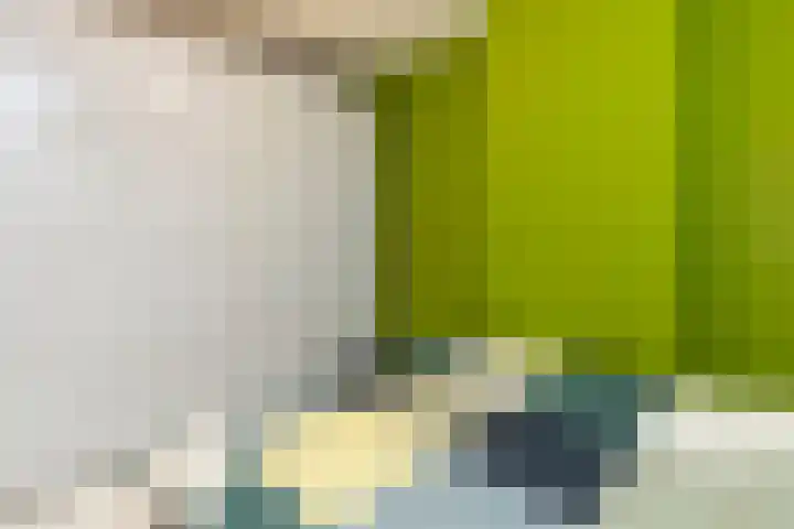 Bonaventurastraat 65 B Rotterdam thumbnail 13