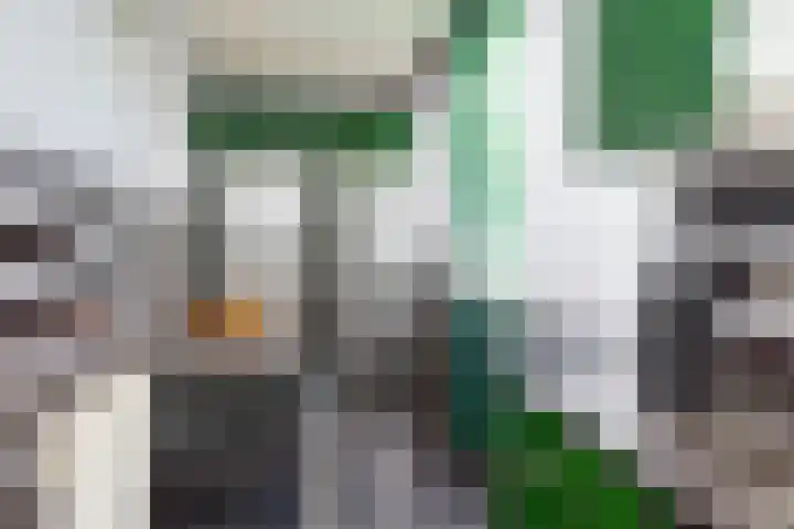 Bonaventurastraat 65 B Rotterdam thumbnail 4