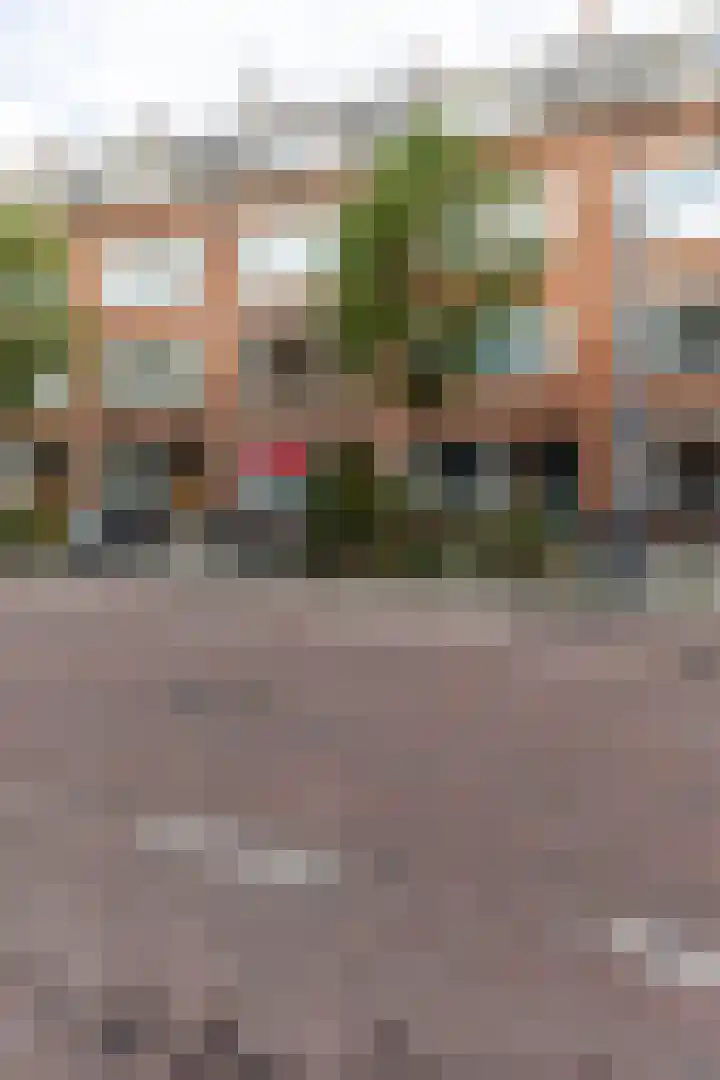 Bonaventurastraat 65 B Rotterdam thumbnail 5