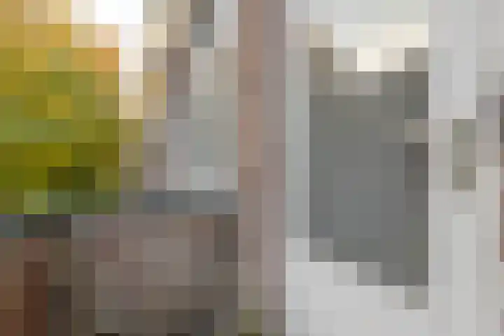 Bonaventurastraat 78 A Rotterdam thumbnail 16