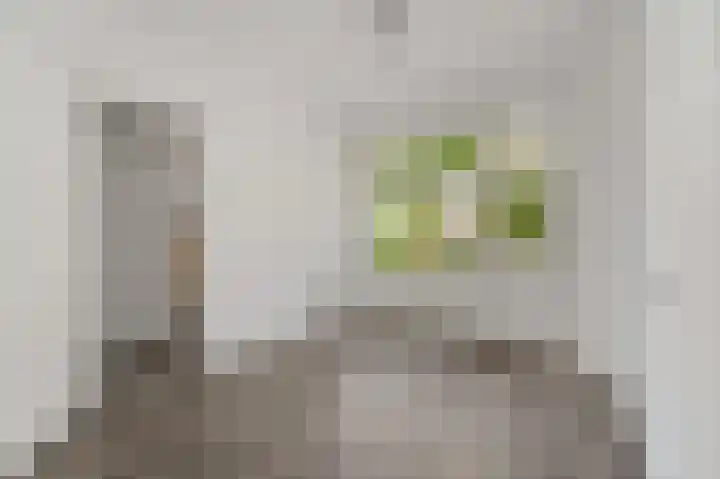 Bonaventurastraat 92 A Rotterdam thumbnail 9