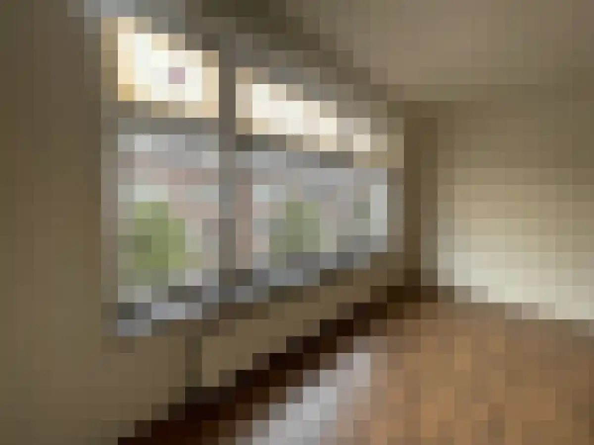 Bonaventurastraat Rotterdam thumbnail 4