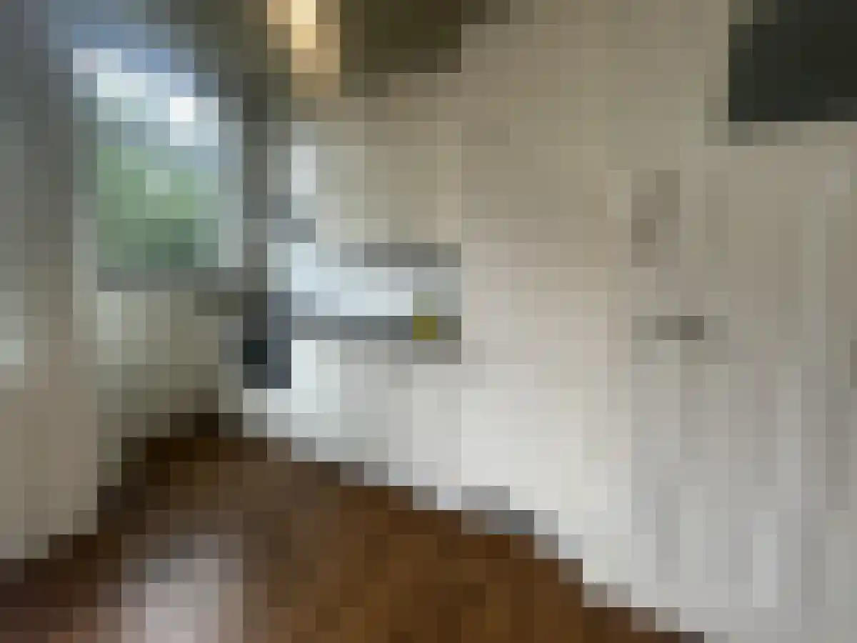 Bonaventurastraat Rotterdam thumbnail 5