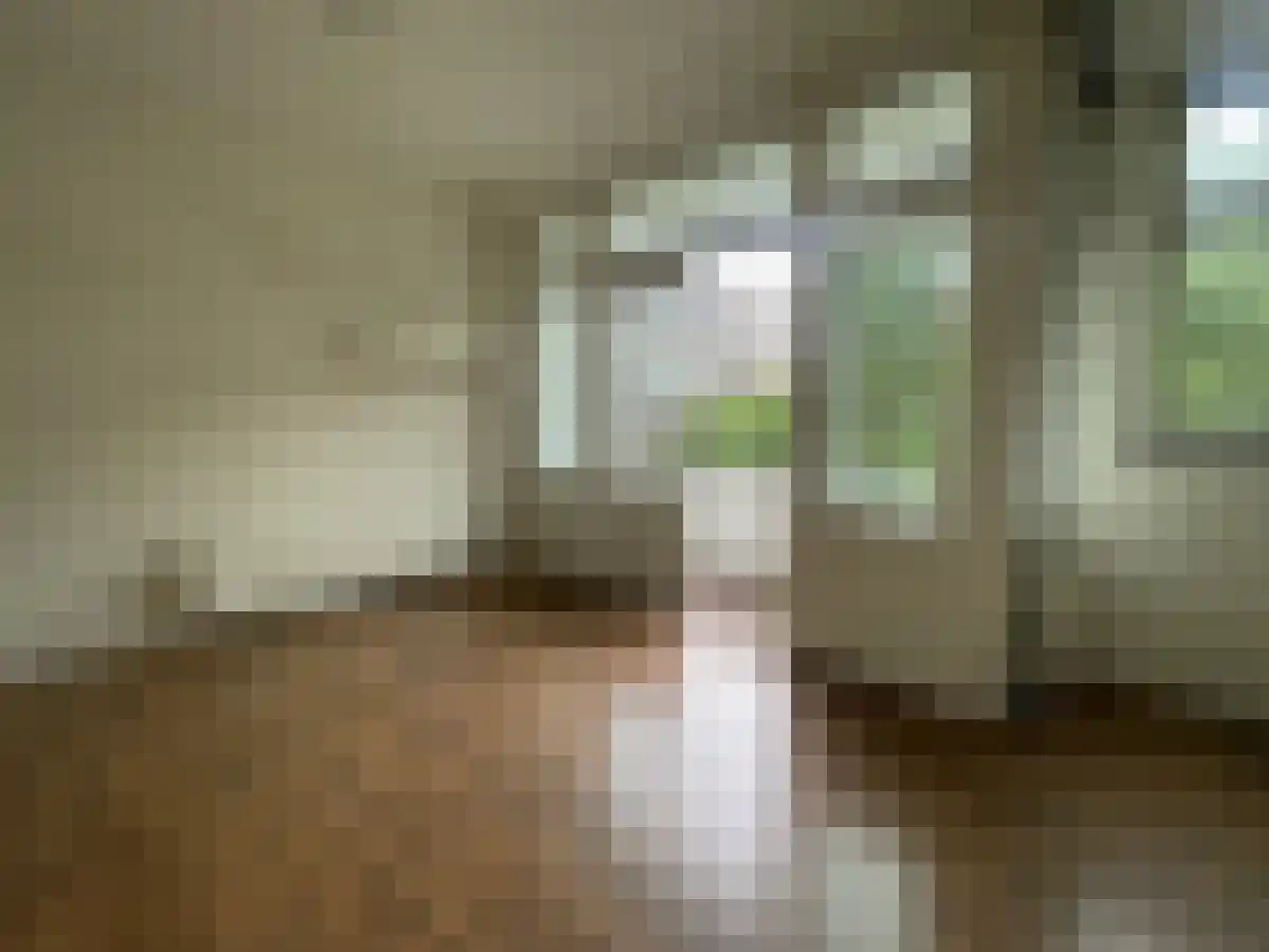 Bonaventurastraat Rotterdam thumbnail 6