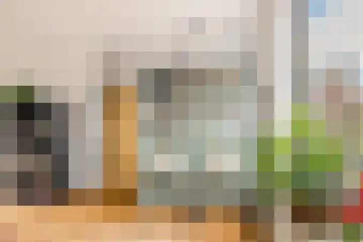 Bonckenburchstraat 4 Heemskerk thumbnail 12