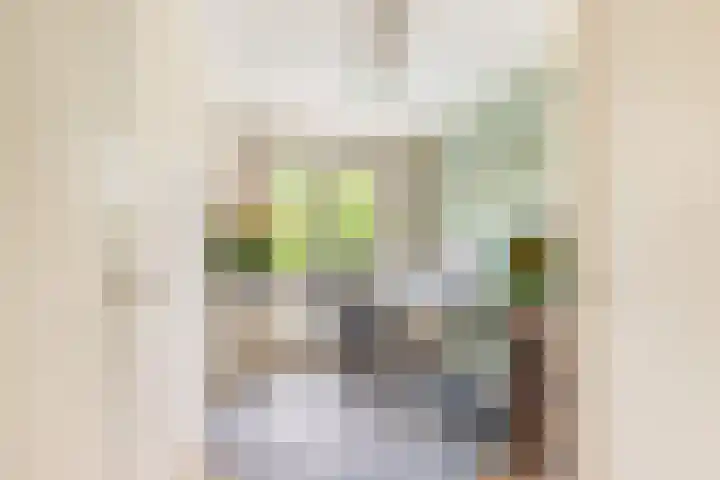 Bonckenburchstraat 4 Heemskerk thumbnail 32