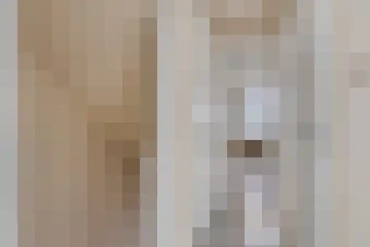 Bondstraat 16 Eindhoven thumbnail 18
