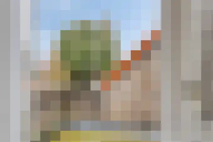 Bondstraat 16 Eindhoven thumbnail 24