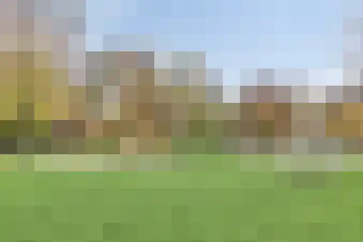 Bondstraat 16 Eindhoven thumbnail 36