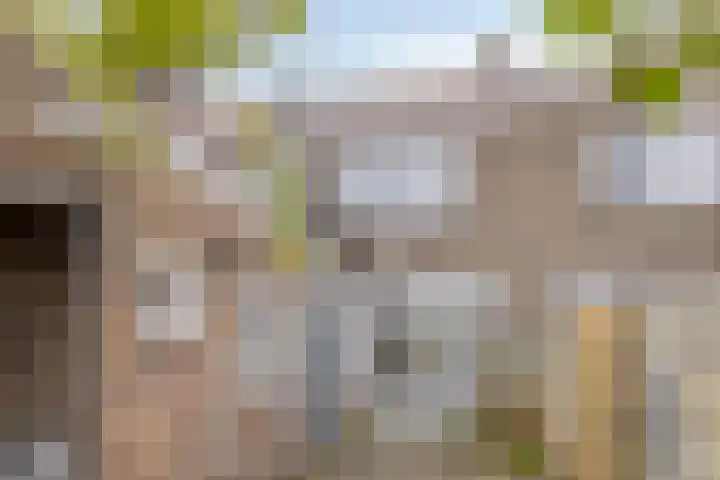 Bondstraat 16 Eindhoven thumbnail 4