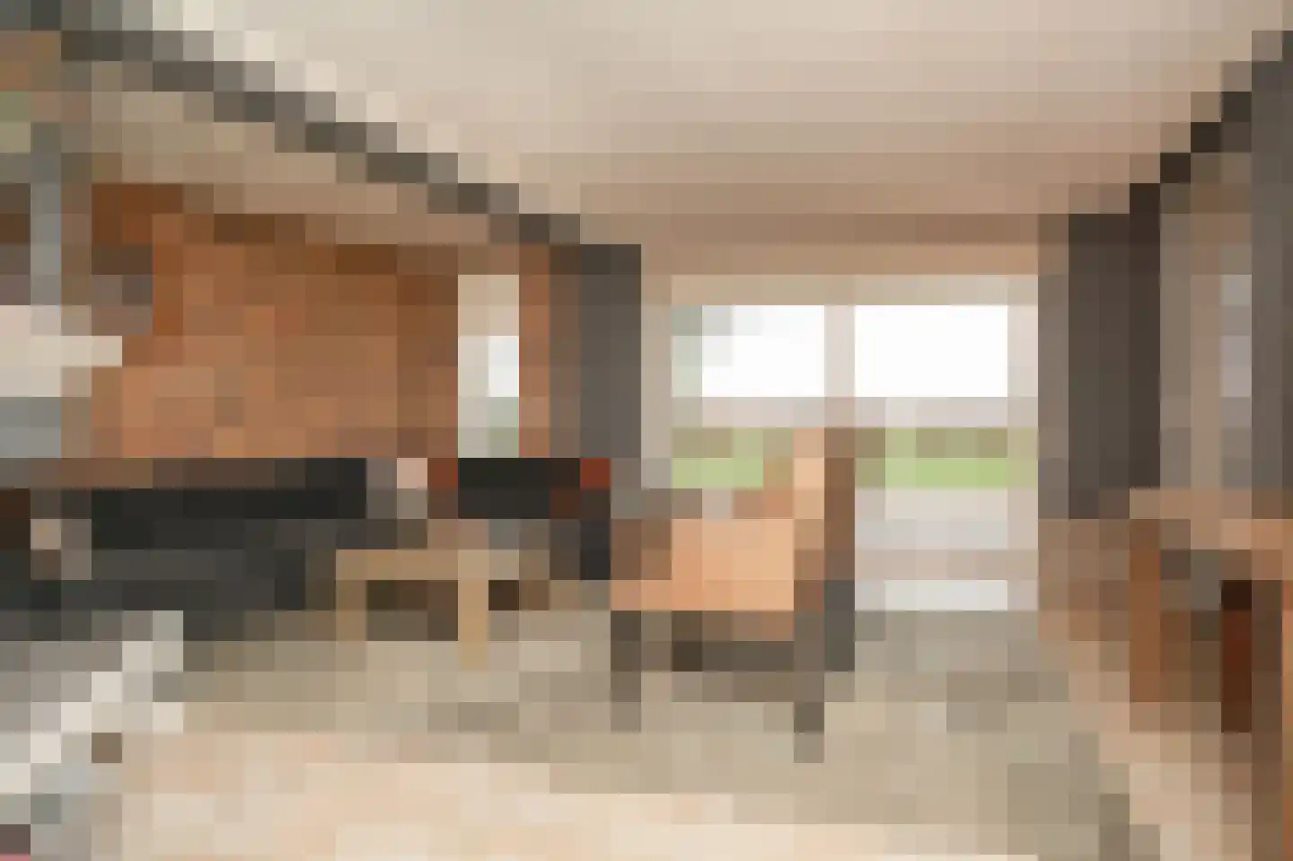 Bonegraafseweg 19 Dodewaard thumbnail 12