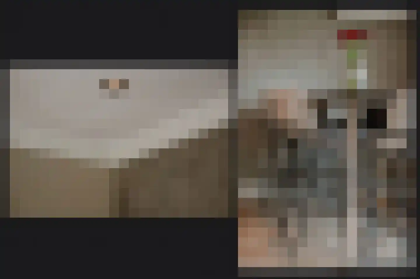 Bonegraafseweg 19 Dodewaard thumbnail 19
