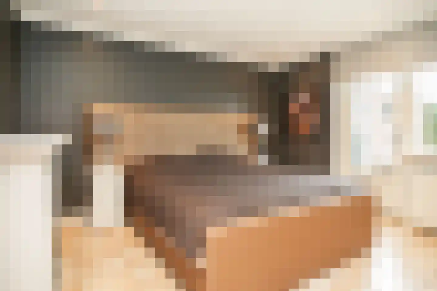 Bonegraafseweg 19 Dodewaard thumbnail 22