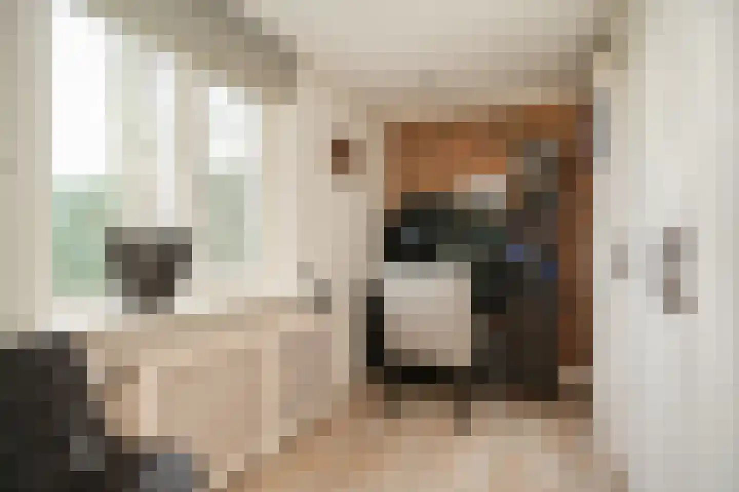 Bonegraafseweg 19 Dodewaard thumbnail 28