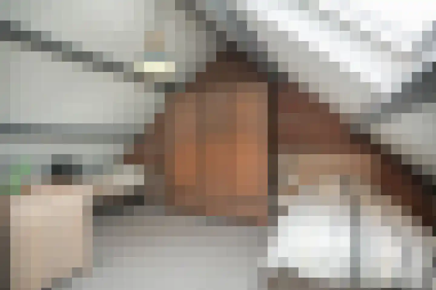 Bonegraafseweg 19 Dodewaard thumbnail 31