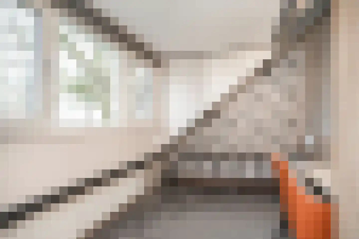 Bonegraafseweg 19 Dodewaard thumbnail 35