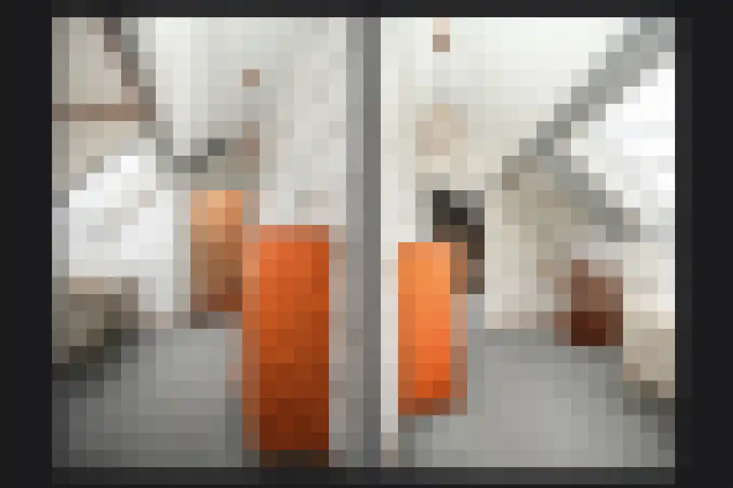Bonegraafseweg 19 Dodewaard thumbnail 36