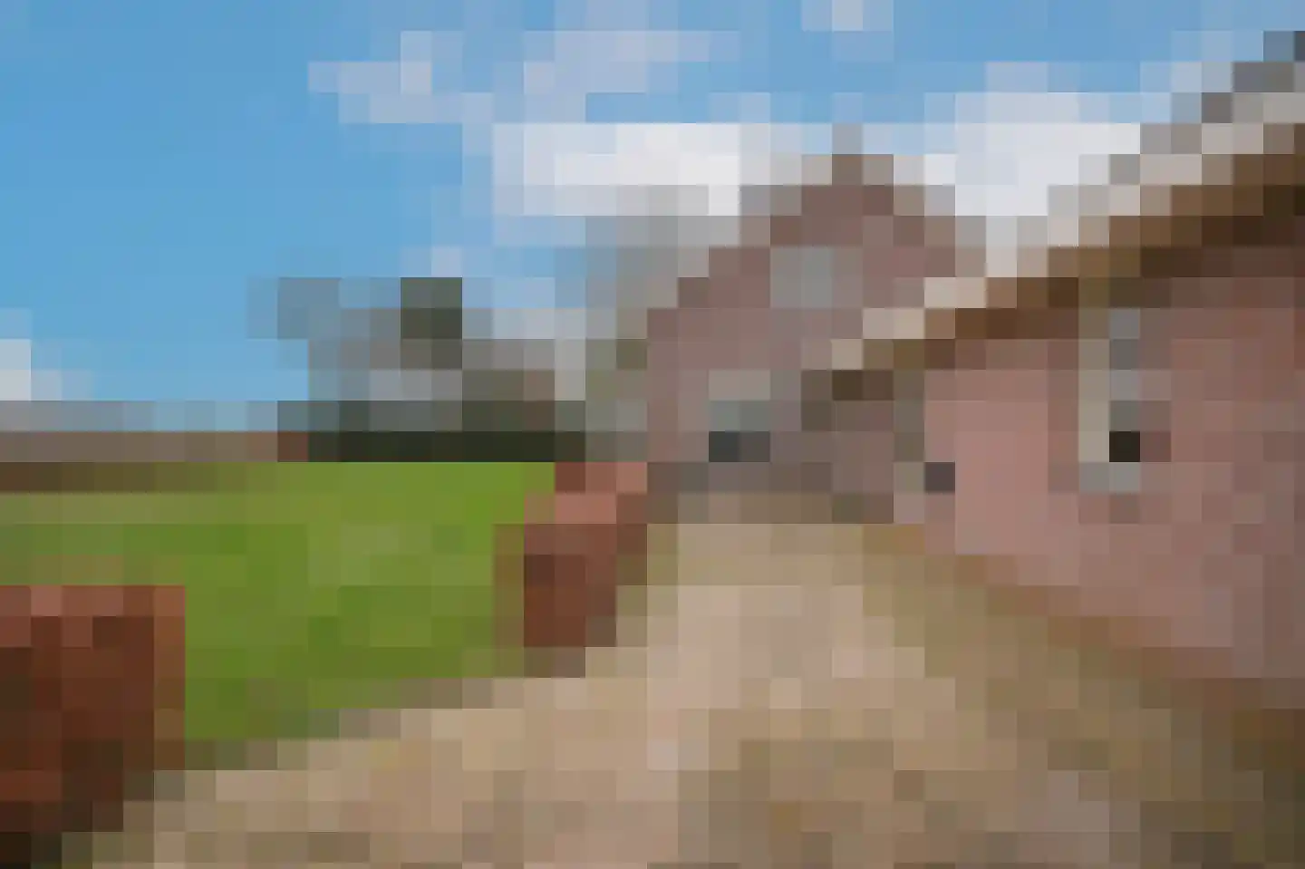 Bonegraafseweg 19 Dodewaard thumbnail 43