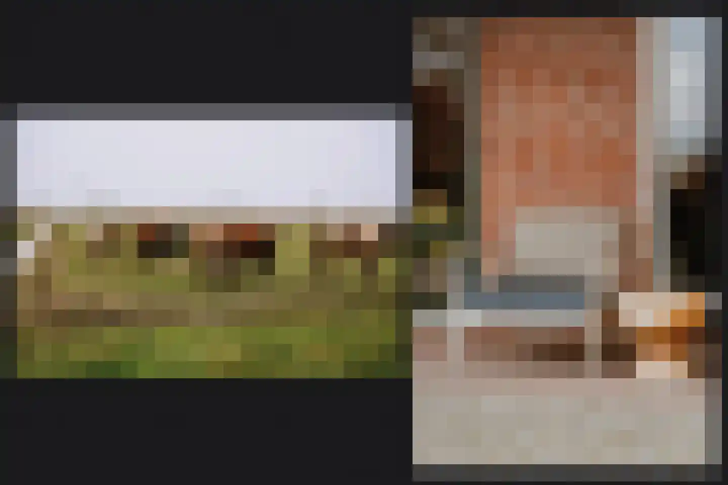 Bonegraafseweg 19 Dodewaard thumbnail 50
