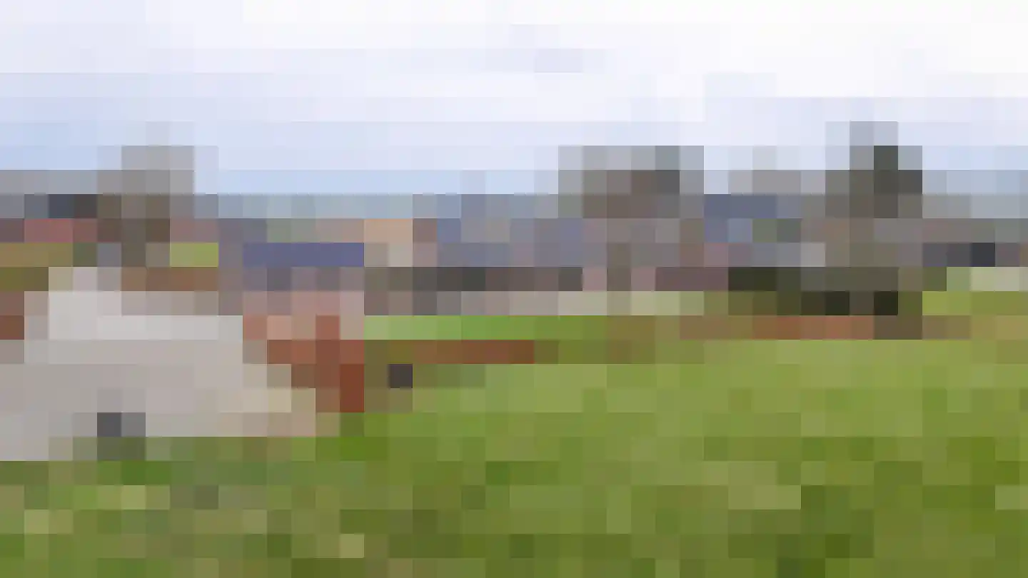 Bonegraafseweg 19 Dodewaard thumbnail 58