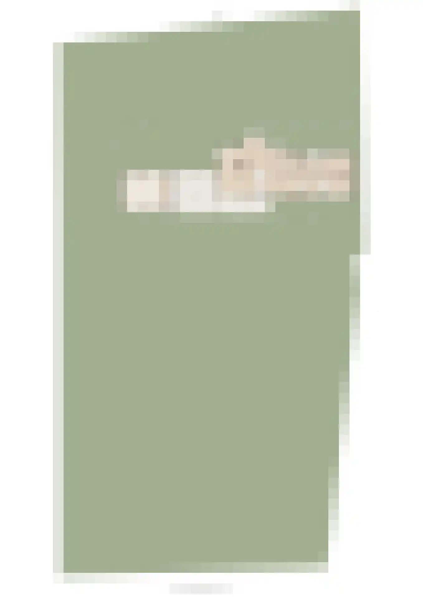 Bonegraafseweg 19 Dodewaard thumbnail 66