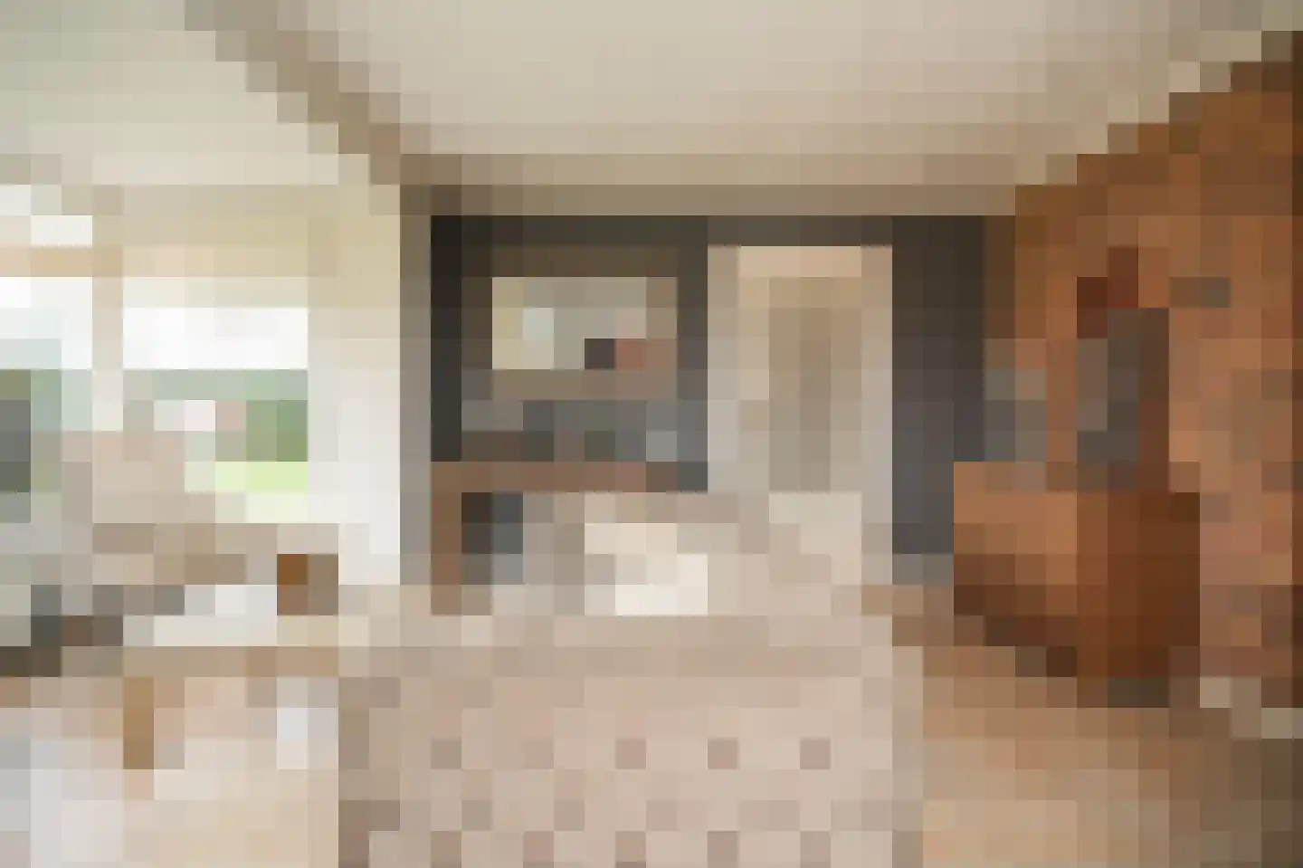 Bonegraafseweg 19 Dodewaard thumbnail 8