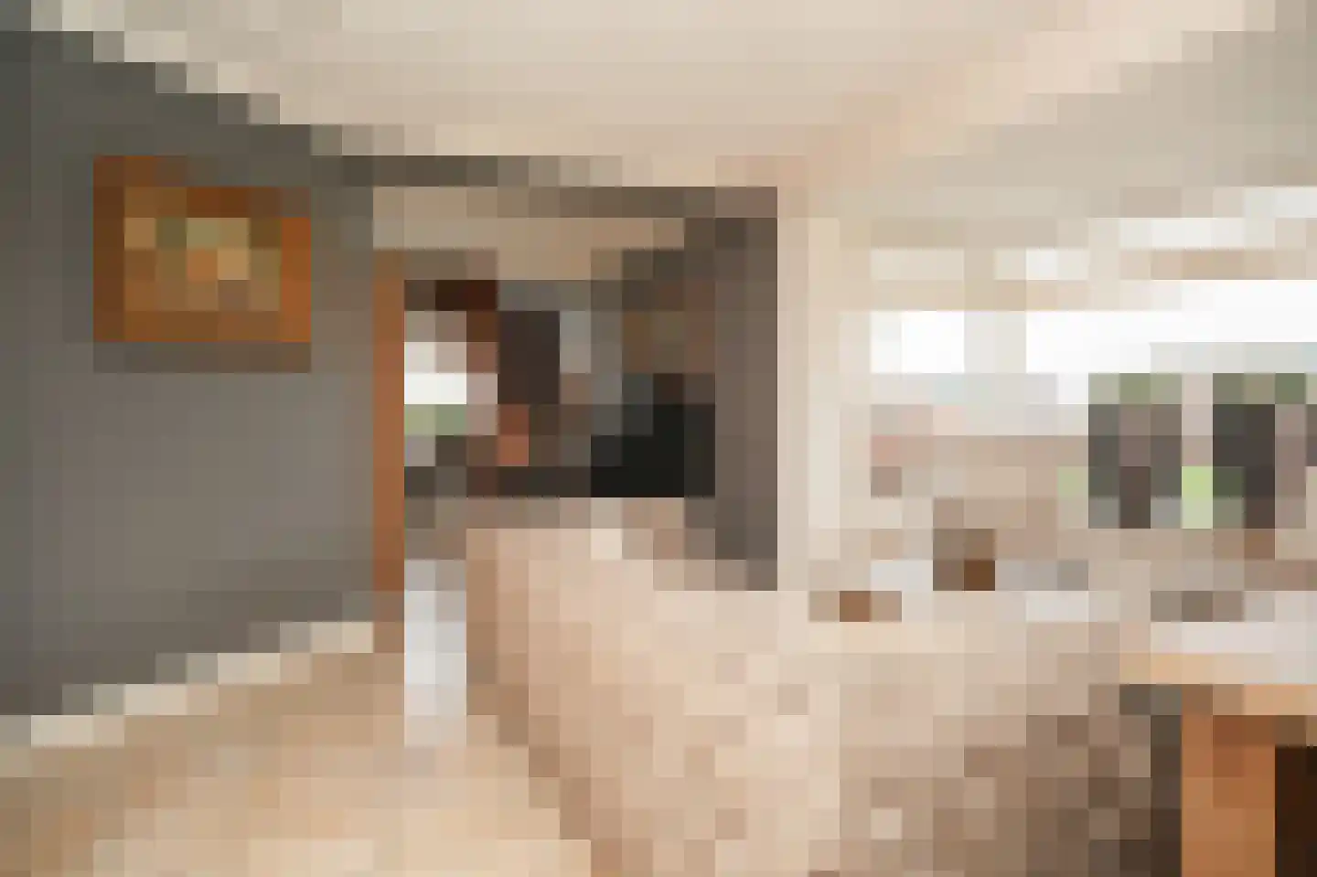 Bonegraafseweg 19 Dodewaard thumbnail 9