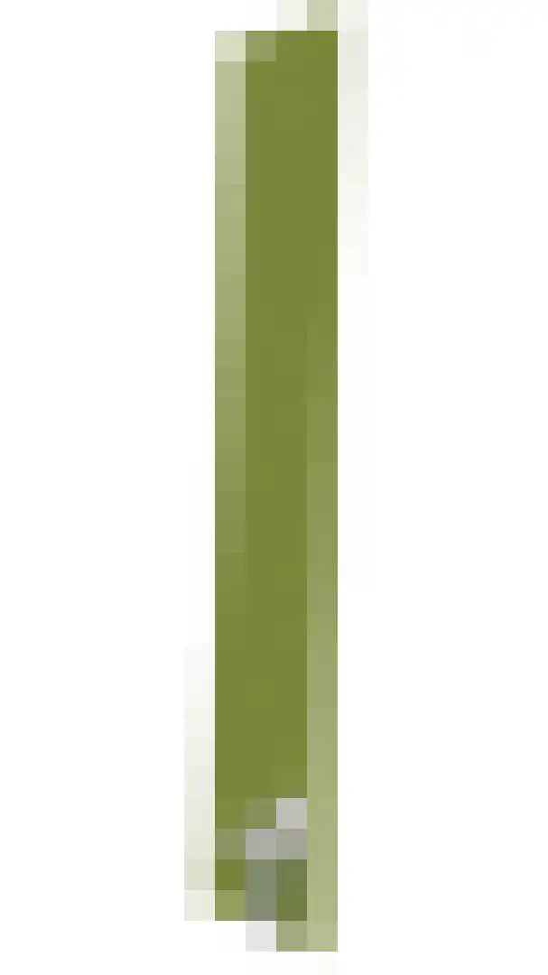 Bonegraafseweg 62 Ochten thumbnail 104