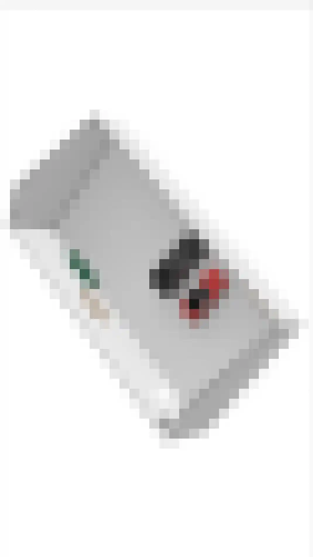 Bonegraafseweg 62 Ochten thumbnail 107