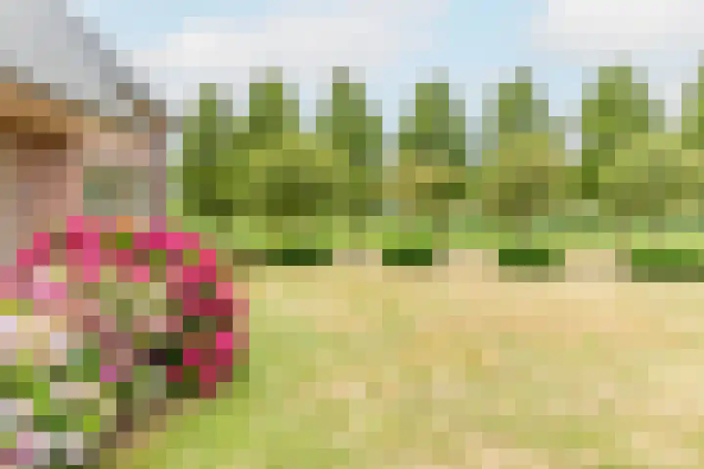 Bonegraafseweg 62 Ochten thumbnail 11