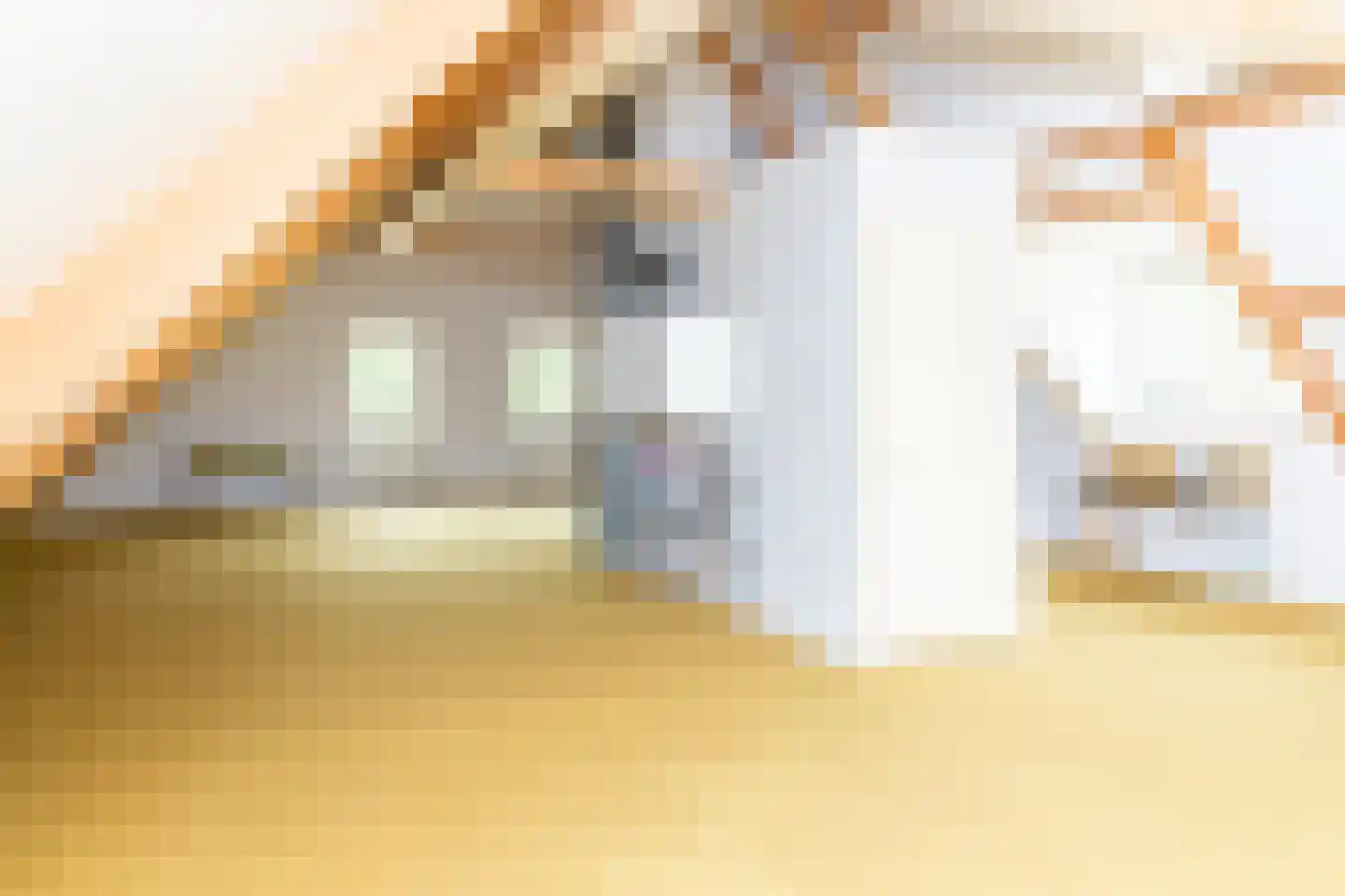 Bonegraafseweg 62 Ochten thumbnail 39