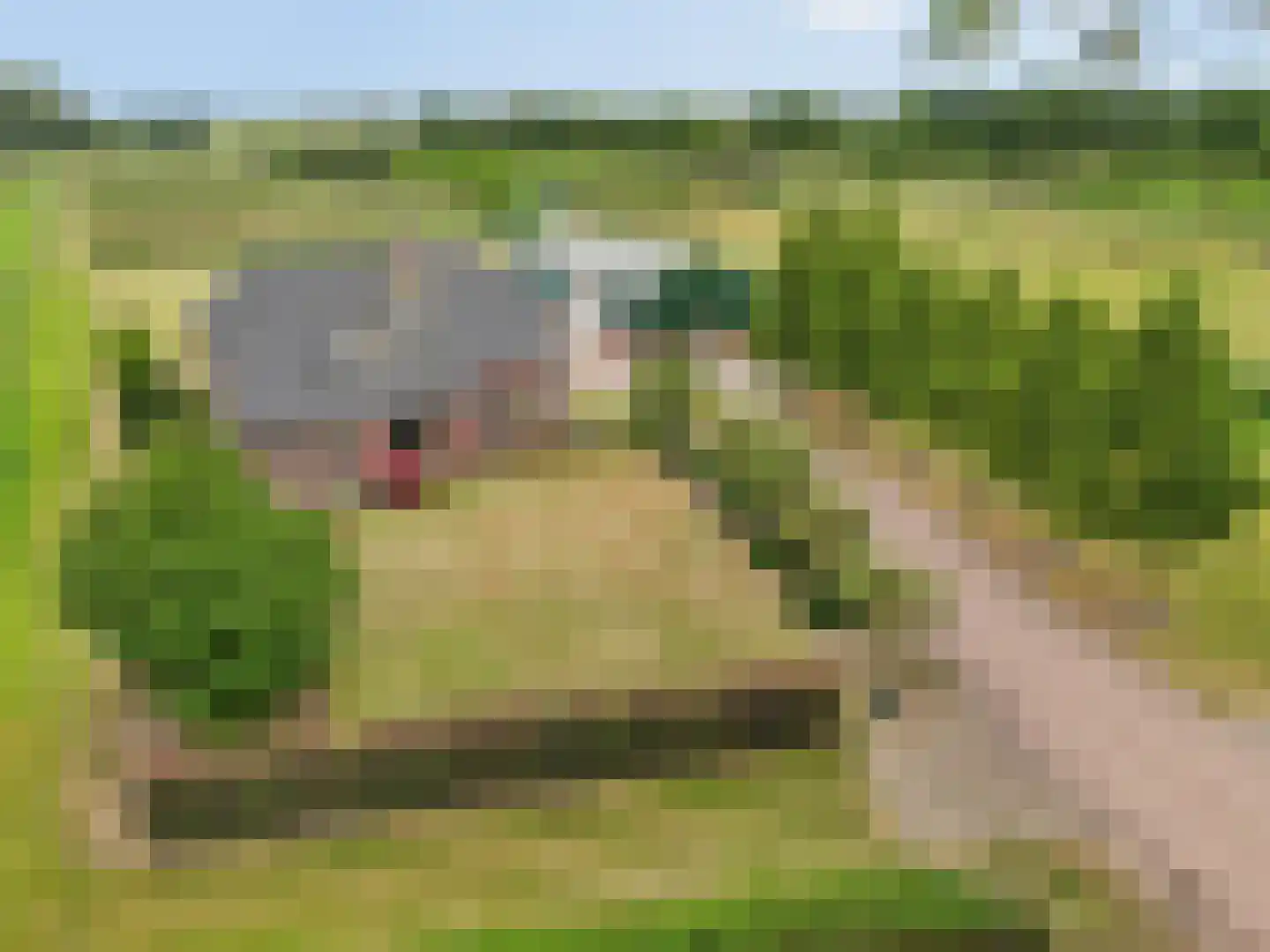 Bonegraafseweg 62 Ochten thumbnail 4